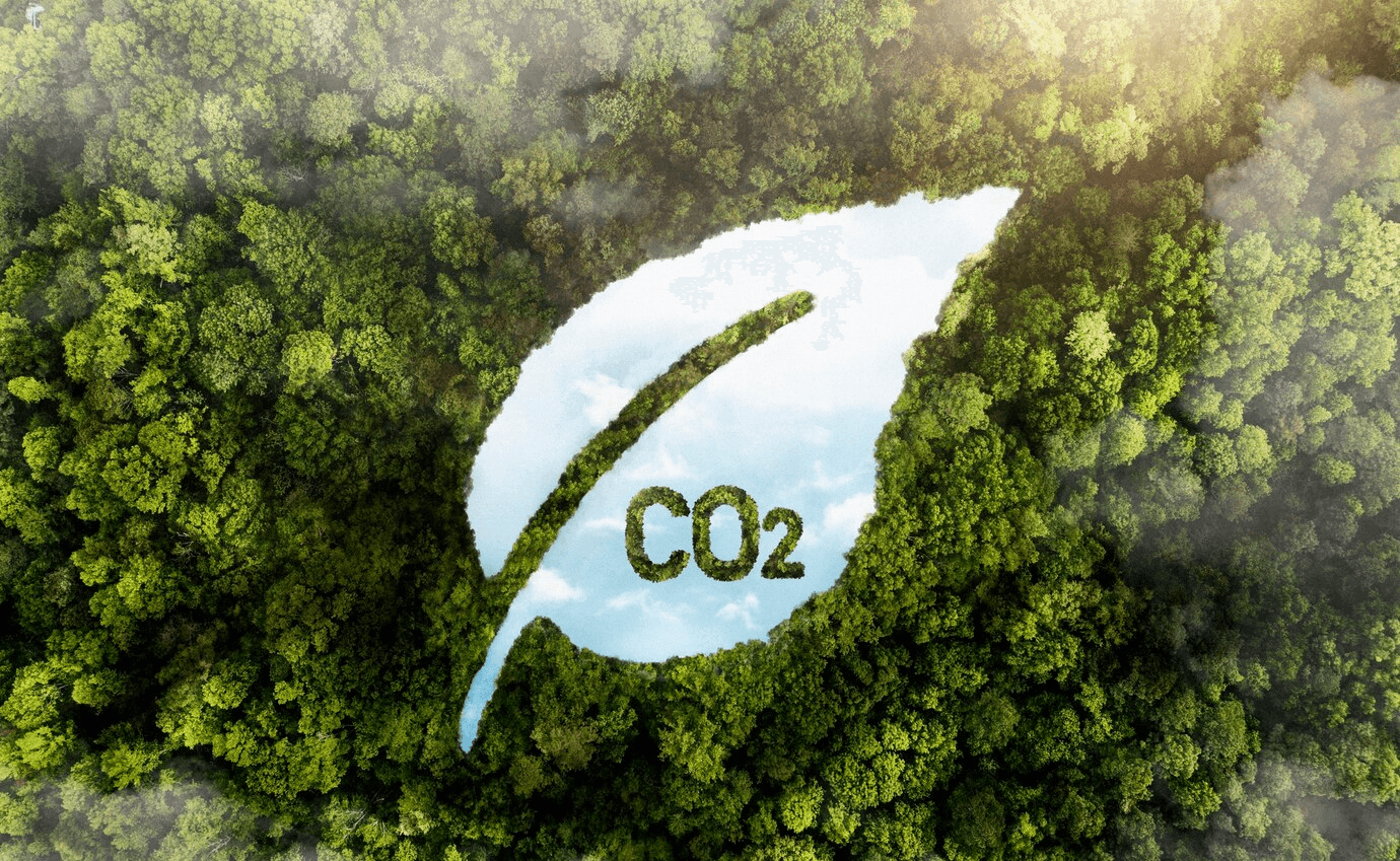 Carbon Footprint Carousel Image